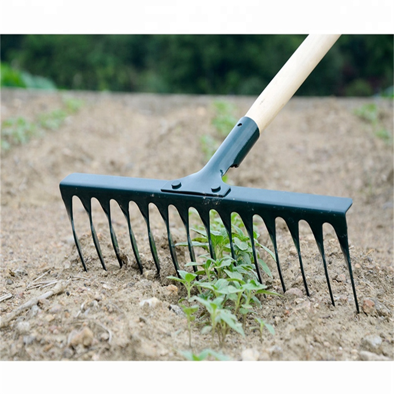 Twisted-Tooth Harrow & Steel Lawn Rake (7)